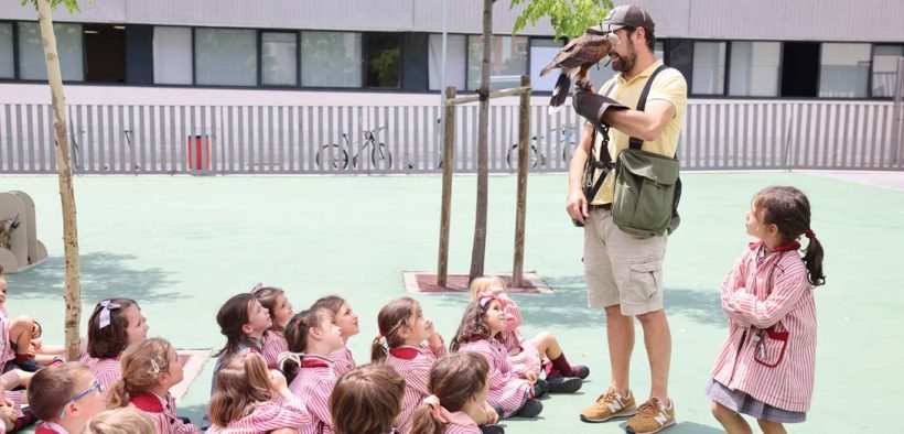 Semana de las profesiones en Infantil Colegio Santa María la Blanca Madrid
