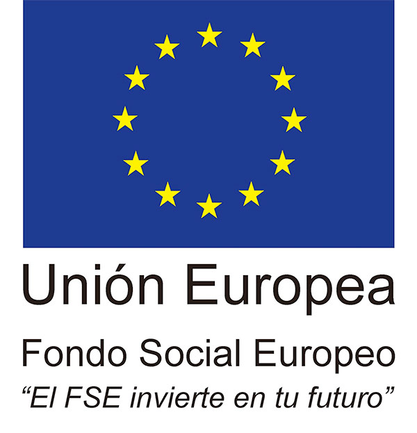 Logo-FSE-