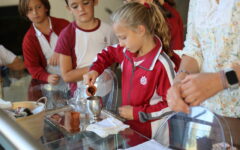 ESCUELA MONAQUILLOS