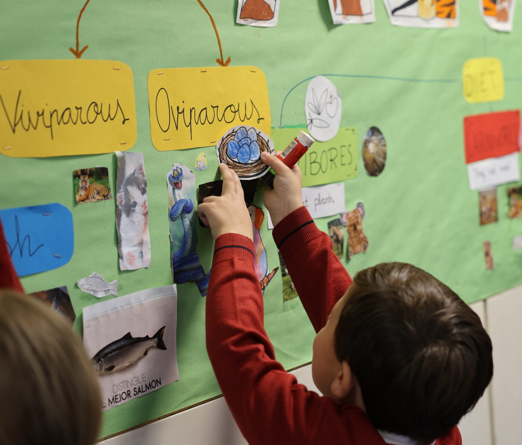 Learning Through Creativity: 1st Grade’s Giant Mind Map Activity ...