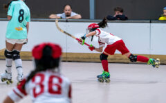 _A7R2933 (2026-03-22T21_03_05.109)